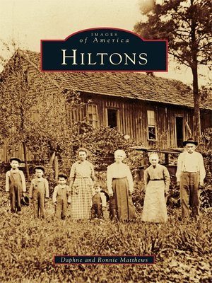 cover image of Hiltons